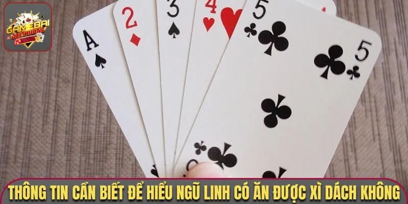 Ngũ Linh Có Ăn Được Xì Dách Không - Giải Đáp Mọi Thắc Mắc 2 Thông tin cần biết để hiểu ngũ linh có ăn được xì dách không